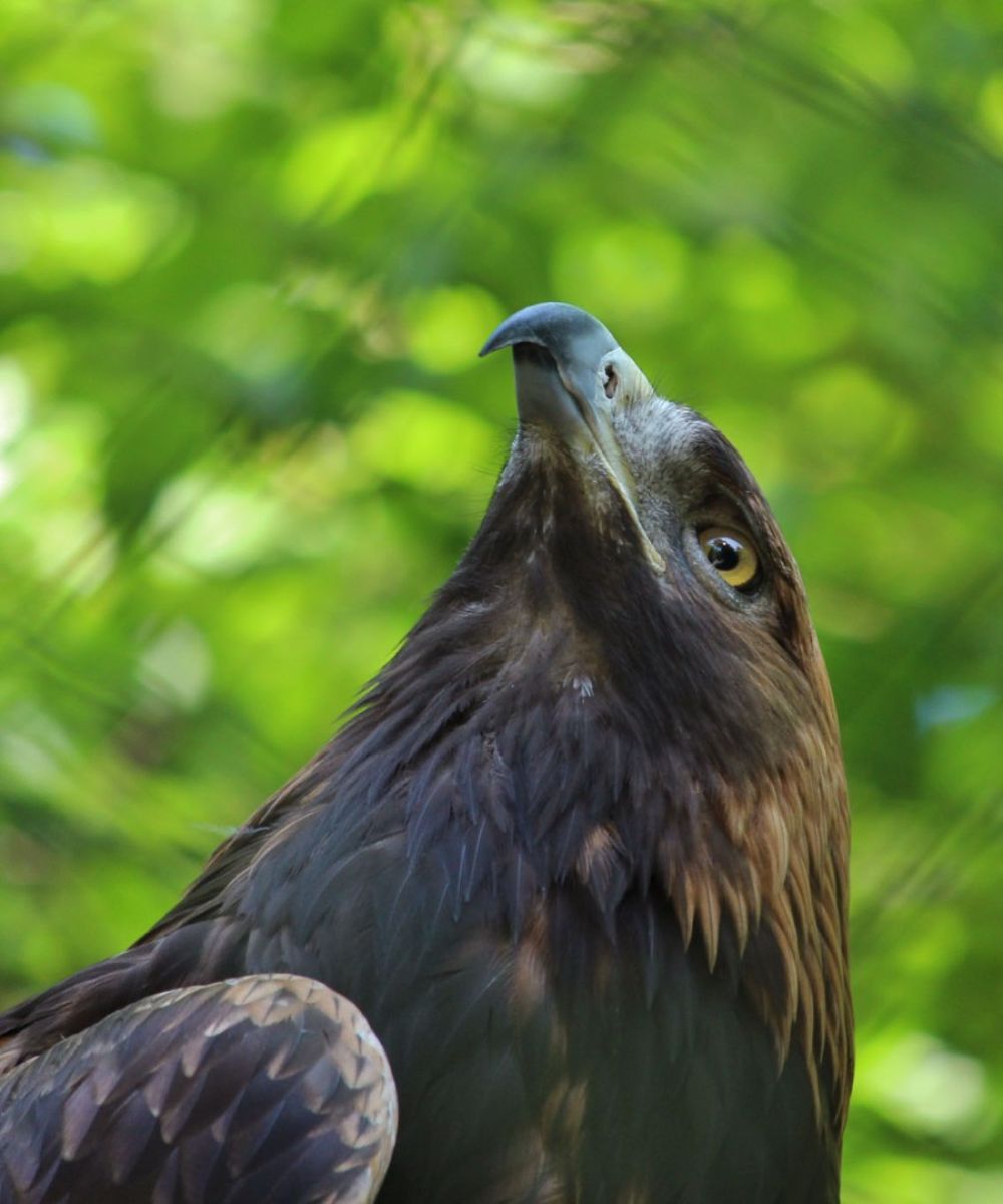 foto-zoo-eberswalde-©-hennrich-adler770A16F8-7903-F7DE-F85D-C998B4DF3884.jpg