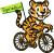 Tigerradtour